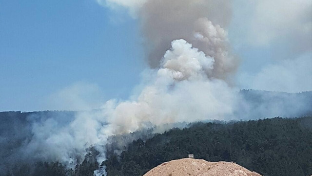 Balıkesir'de orman yangını