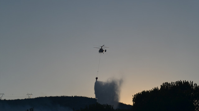 Balıkesir'de orman yangını