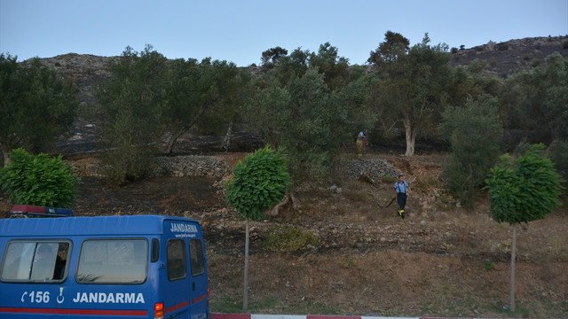 Balıkesir'de orman yangını