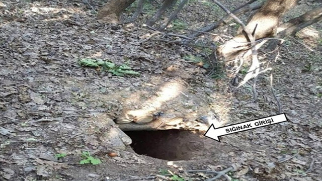 Bingöl'de terör operasyonu