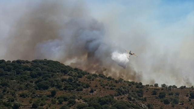 Bodrum'da makilik alan yangını