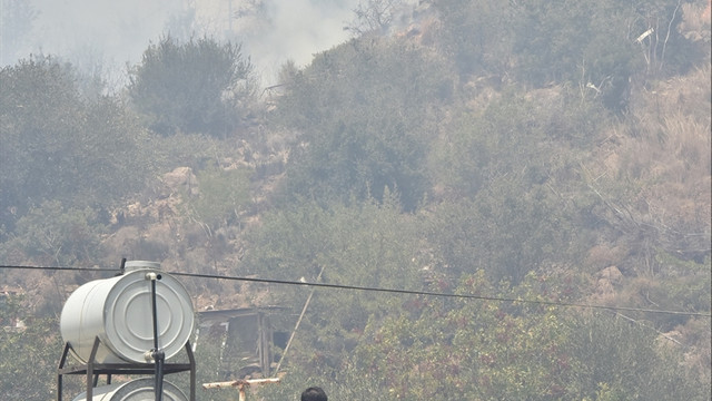 Bodrum'da makilik alanda yangın