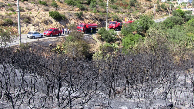 Bodrum'da makilik alanda yangın