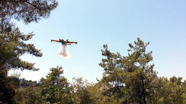 Bodrum'da orman yangını