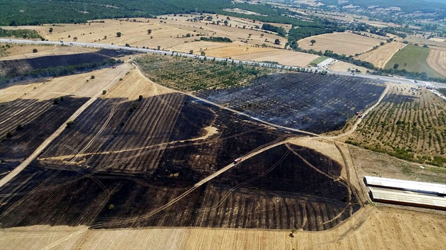 Çanakkale'de orman yangını