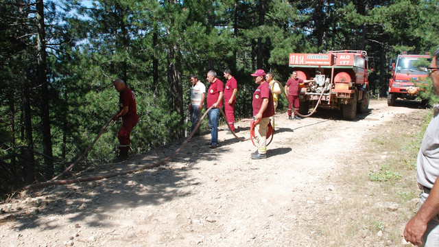 Çanakkale'de orman yangını