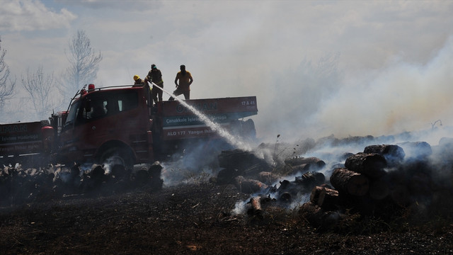 Çanakkale'deki orman yangını