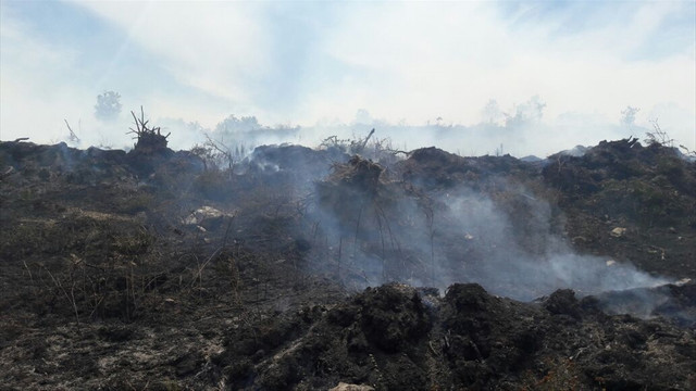 Çanakkale'de orman yangını