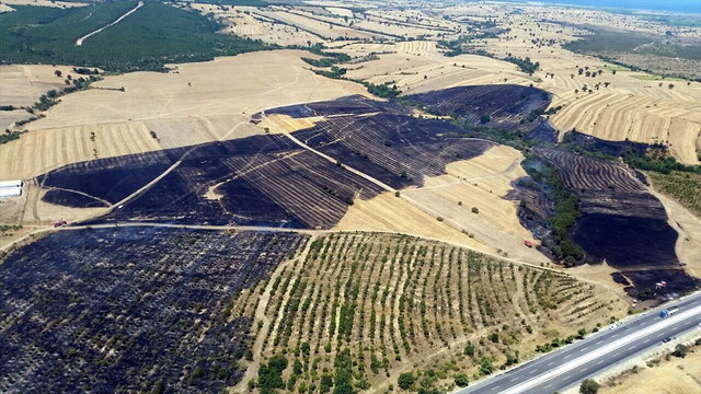 Çanakkale'de orman yangını