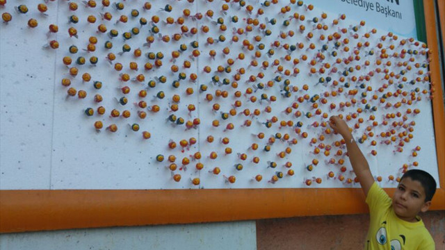 Çocuklar bayram şekerini ilan panolarından aldı