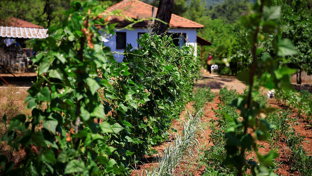 Cumhurbaşkanı Erdoğan'a yönelik Marmaris'teki suikast girişimi
