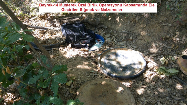 Diyarbakır'daki terör operasyonu