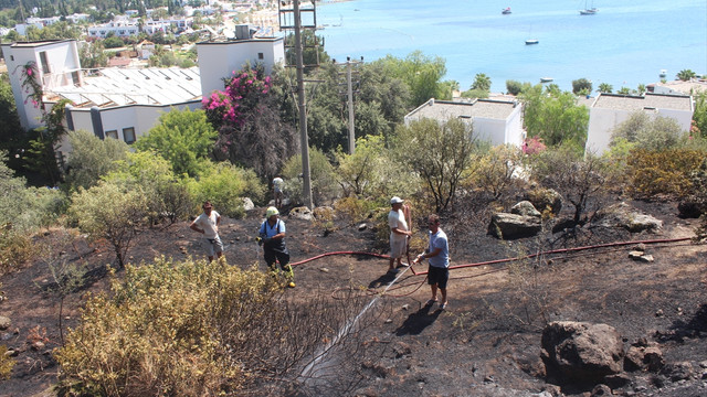 Elektrik teline çarpan kuş yangın çıkardı