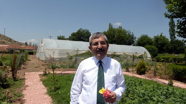 Eski tatları bulmak için tohum paylaşacaklar