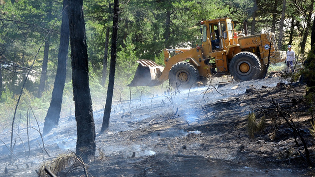 Eskişehir'de orman yangını