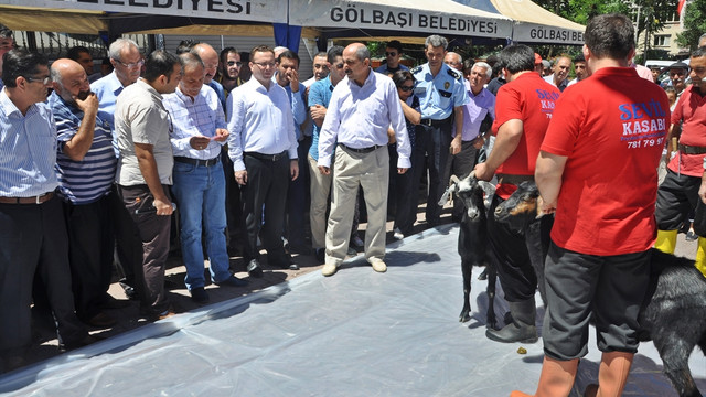 FETÖ'nün darbe girişimine tepkiler