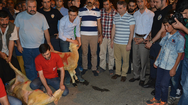 FETÖ'nün darbe girişimine tepkiler