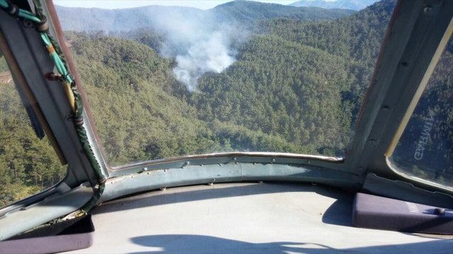 Gaziantep'te orman yangını