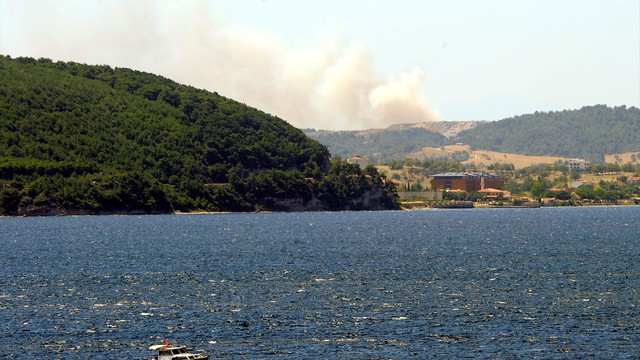 Gelibolu Yarımadası'nda orman yangını