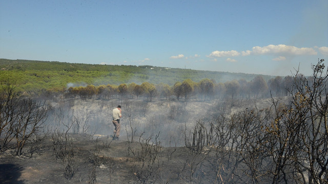 GÜNCELLEME - Gelibolu Yarımadası'nda orman yangını