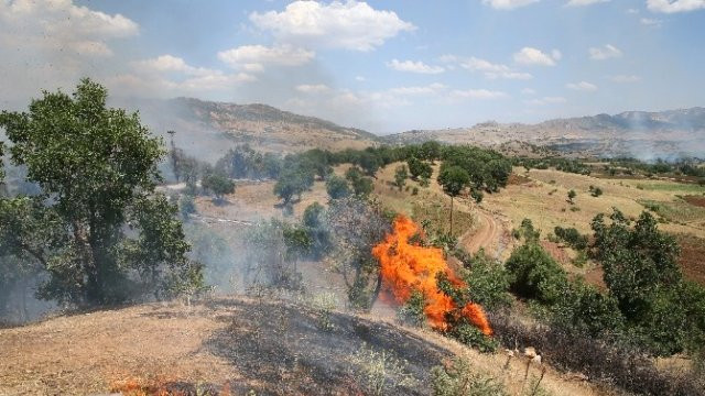 Diyarbakırdaki terör operasyonu! 1 terörist yakalandı