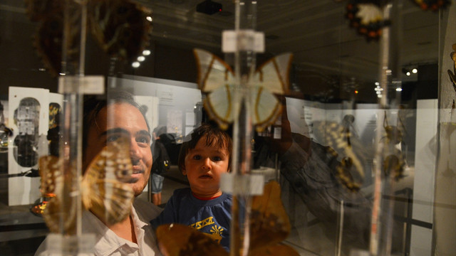 İnanılmaz böcekler EXPO'da sergileniyor