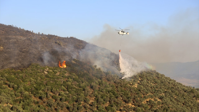 İzmir'de makilik alanda yangın