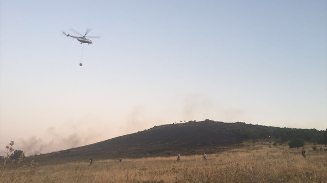 İzmir'de orman yangını