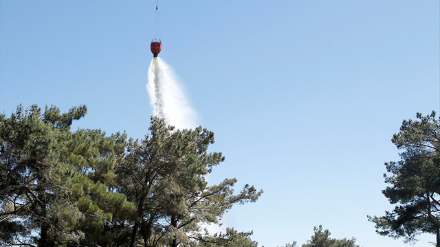 Manisa ve İzmir'de orman yangınları