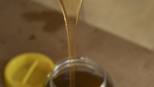 Kestane balı üreticisini sevindirdi