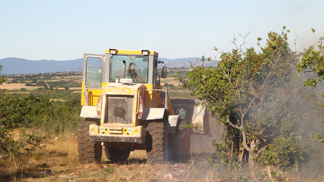 Kırklareli'nde orman yangını