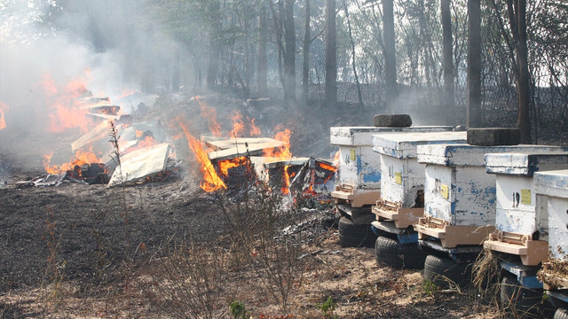 Kırklareli'nde yangın