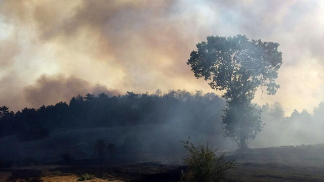 Kütahya'da orman yangını