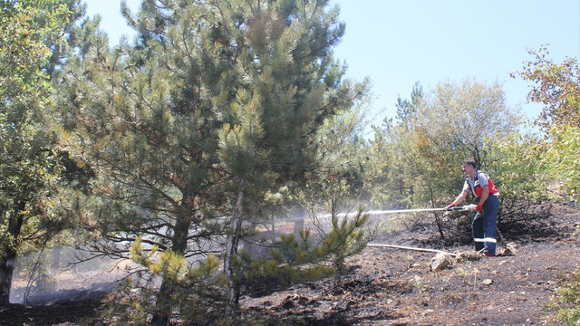 Kütahya'da orman yangını