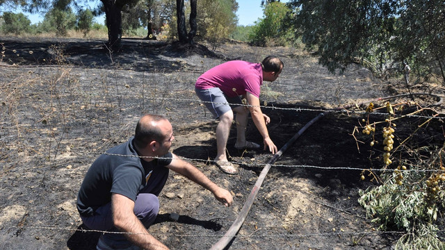 Manavgat'ta makilik alanda yangın
