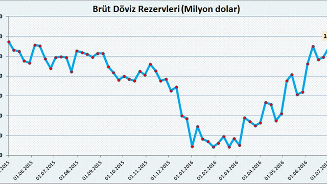 Merkez Bankası brüt döviz rezervleri 14,5 ayın zirvesinde