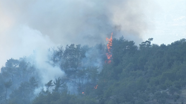 Mersin'de orman yangını
