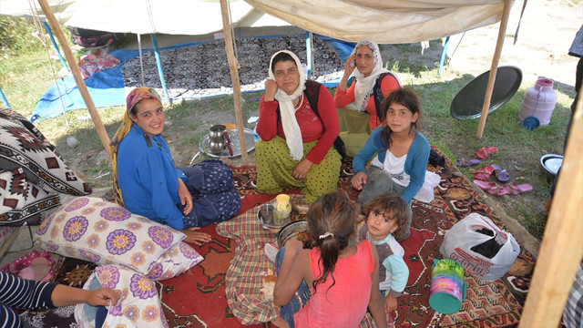 Mevsimlik tarım işçileri Ordu'da