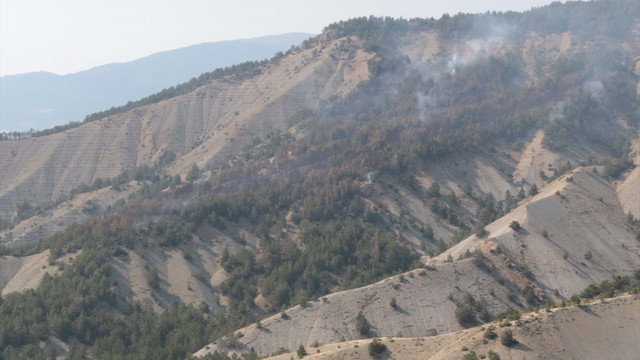 Mudurnu’da orman yangını