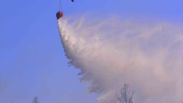 Muğla'da makilik ve ormanlık alanda yangın