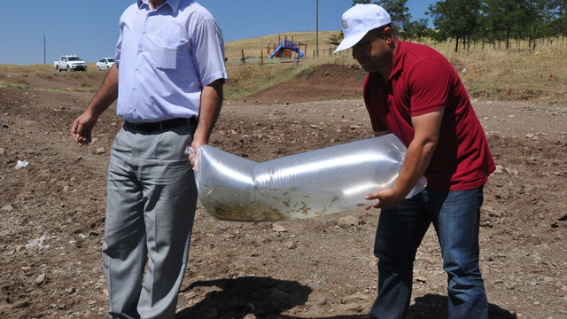 Muş'taki göletlere 80 bin yavru balık bırakıldı