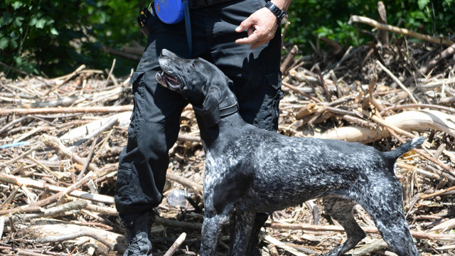 Ordu'daki sel ve heyelan