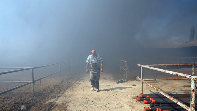 Sivas'ta besi çiftliğinde yangın