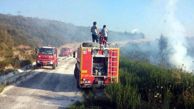 Suriye sınırında orman yangını