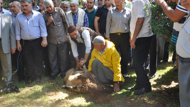 TBMM Başkanvekili Aydın: Millet destan yazdı