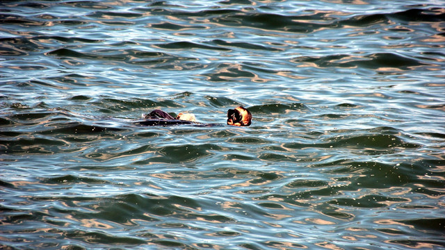Tekirdağ'da denizde erkek cesedi bulundu