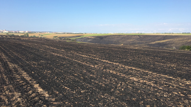 Tekirdağ'da yangın