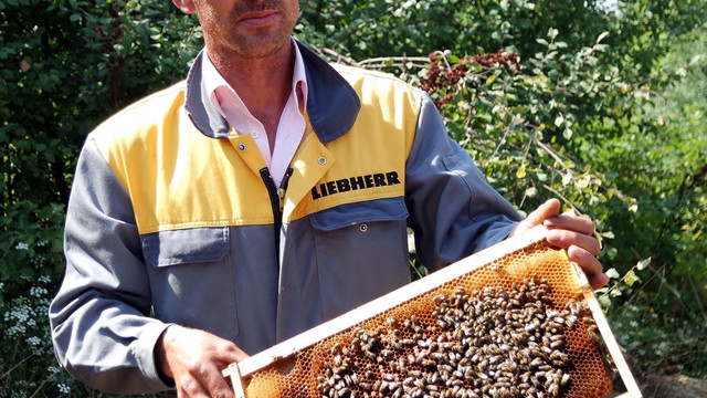 TKDK hibesiyle balının kalitesini artırdı