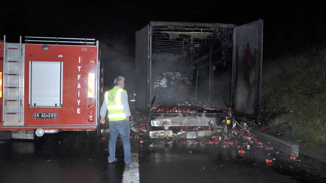 Yanan tır nedeniyle TEMde uzun araç kuyruğu oluştu