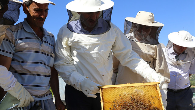 Adana'da bal üreticileri umutlu